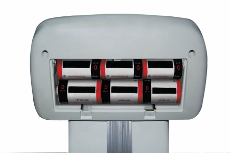 Весы CAS DL-200 купить по низкой цене | МАКСПРОФИТ